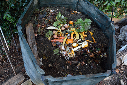 Vegetables and soil in a compost bag