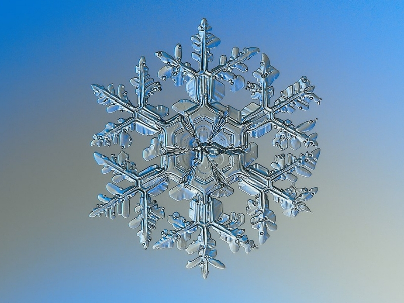macro-photograph of a snowflake