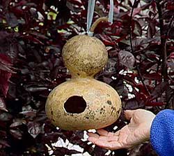 finished gourd house