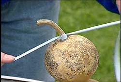 adding ribbon to hang the gourd