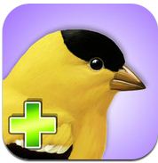 App icon with bird