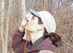 The forester points the clinometer at the top of the tree.