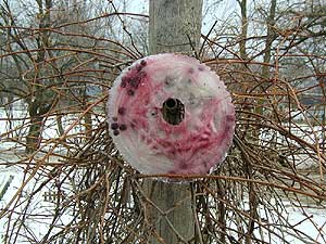 Ice wreath