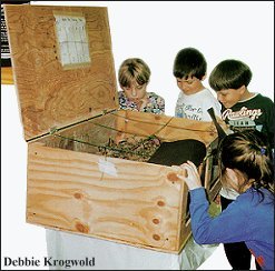 Children looking at a vermicomposting box